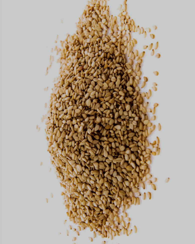 sesame 2